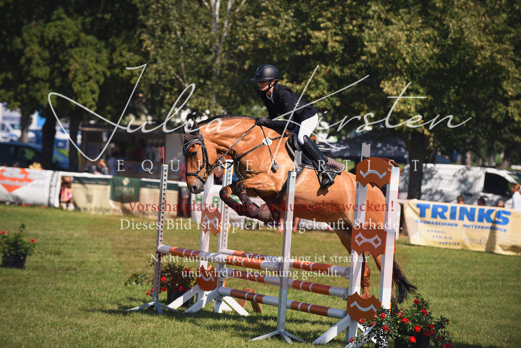 DSC_9244 | Pferde- und Turnierfotografie in Westsachsen. Pferdeportraits, Auftragszeichnungen und intuitive Kunst.