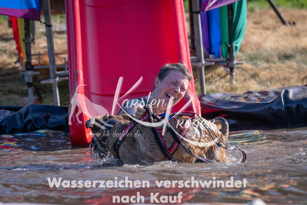 1713_ZZ93894 | kk-dogfotos