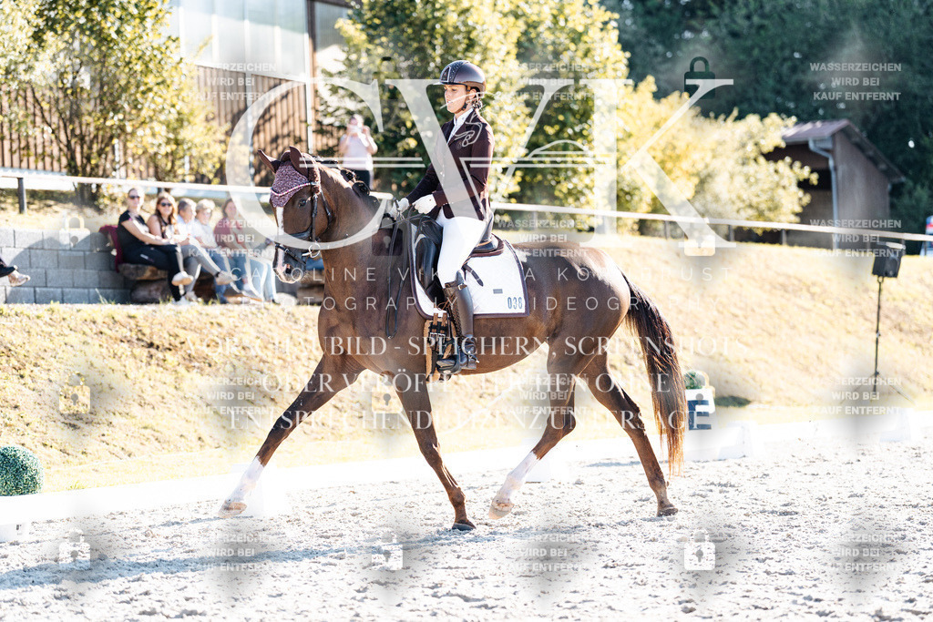 CK906592 | Turnierfotografie Pferdefotografie Trier Rheinland-Pfalz Pferdesport Reitsport Tierfotografie Sportfotografie Pferdevideo Pferdevideografie Equestrianvideography equestrianphotography  - Realisiert mit Pictrs.com