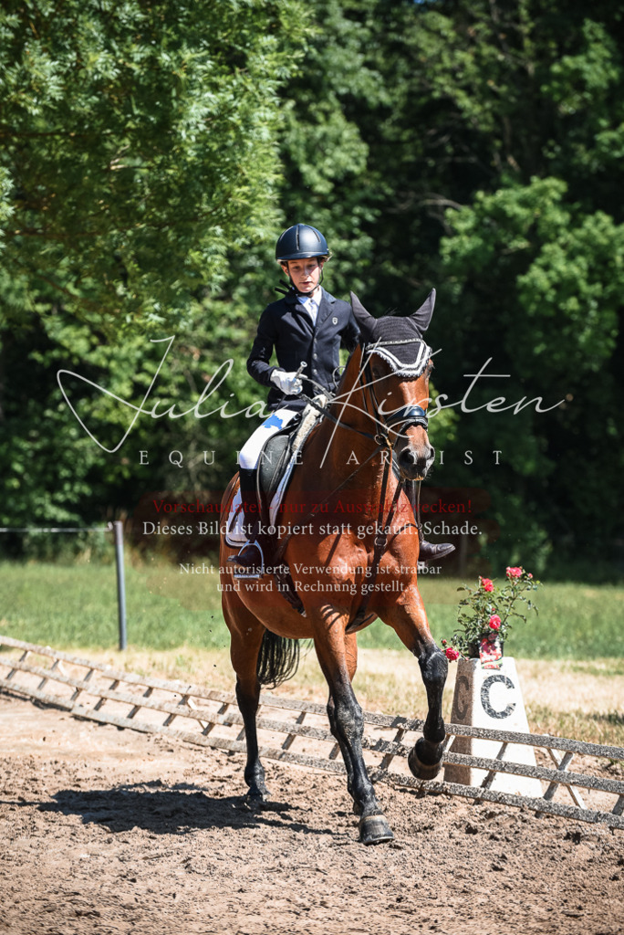 DSC_2955 | Pferde- und Turnierfotografie in Westsachsen. Pferdeportraits, Auftragszeichnungen und intuitive Kunst.