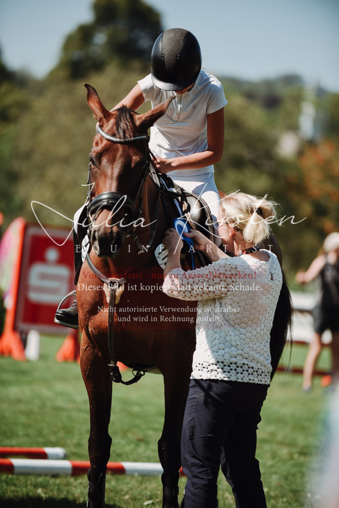 DSC_3346 | Pferde- und Turnierfotografie in Westsachsen. Pferdeportraits, Auftragszeichnungen und intuitive Kunst.