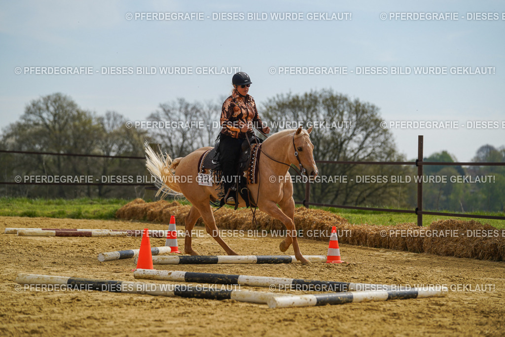 DSC02205 | Pferdegrafie