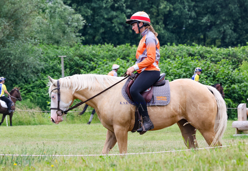 1B3A2714 | Reitsport Reiten