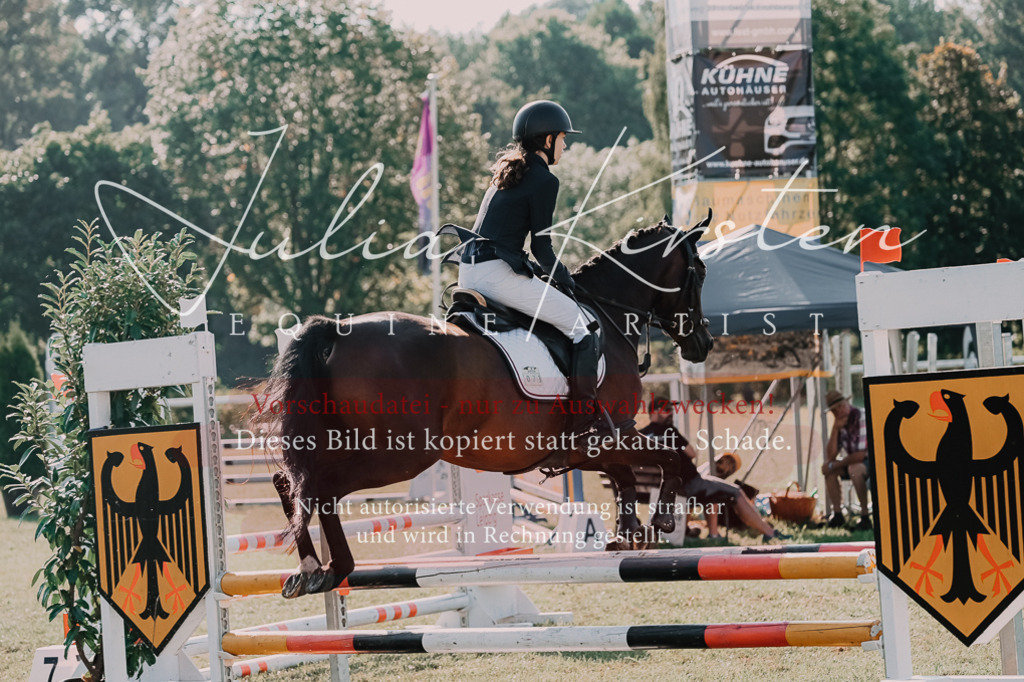 DSC_4690 | Pferde- und Turnierfotografie in Westsachsen. Pferdeportraits, Auftragszeichnungen und intuitive Kunst.