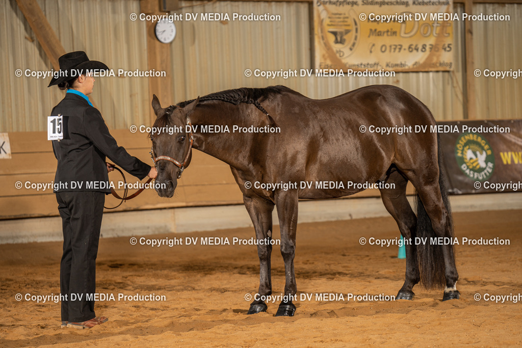 NID02468 | dv-media-shop - Realisiert mit Pictrs.com