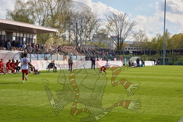 BFC Dynamo vs. FC Rot-Weiß Erfurt 080 | mythos-online-redaktion