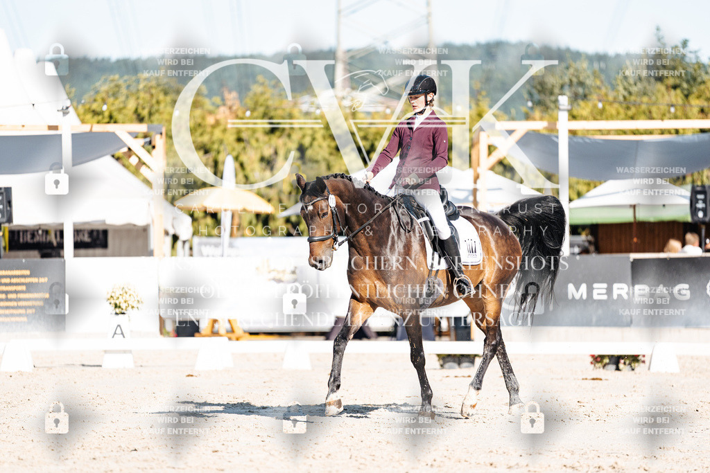 CK907530 | Turnierfotografie Pferdefotografie Trier Rheinland-Pfalz Pferdesport Reitsport Tierfotografie Sportfotografie Pferdevideo Pferdevideografie Equestrianvideography equestrianphotography  - Realisiert mit Pictrs.com