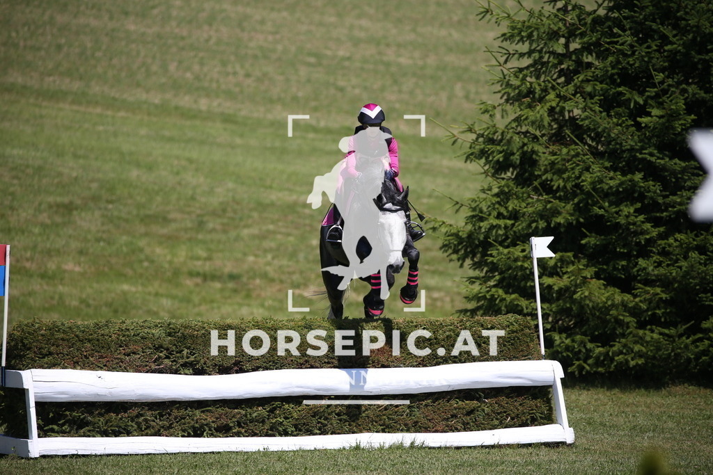 DL2Q1486 | Willkommen bei Brunnmayr - Design & Fotografie – Ihrem Spezialisten für Reitturniere und Pferdeveranstaltungen in Oberösterreich, Salzburg und Bayern! Seit über 17 Jahren sind wir leidenschaftlich dabei.