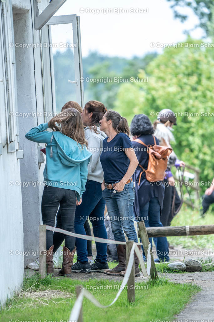 SBS03264 | BS-foto