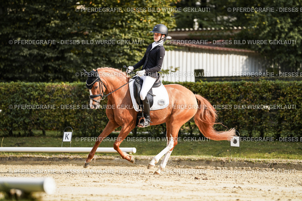 DSC05997 | Pferdegrafie