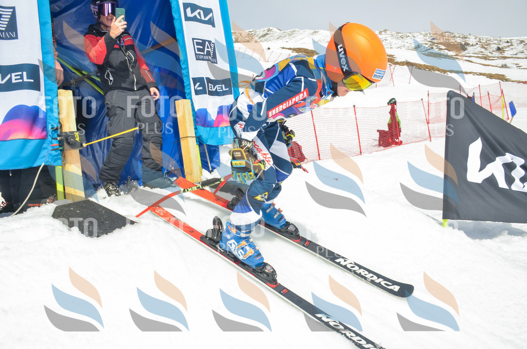 _ELE7835 | holidayphoto