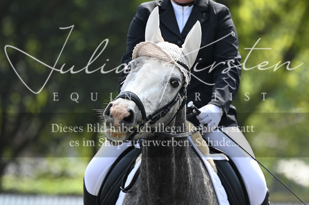 20230512_JK-Röhrsdorf-01-059 | Pferde- und Turnierfotografie in Westsachsen. Pferdeportraits, Auftragszeichnungen und intuitive Kunst.