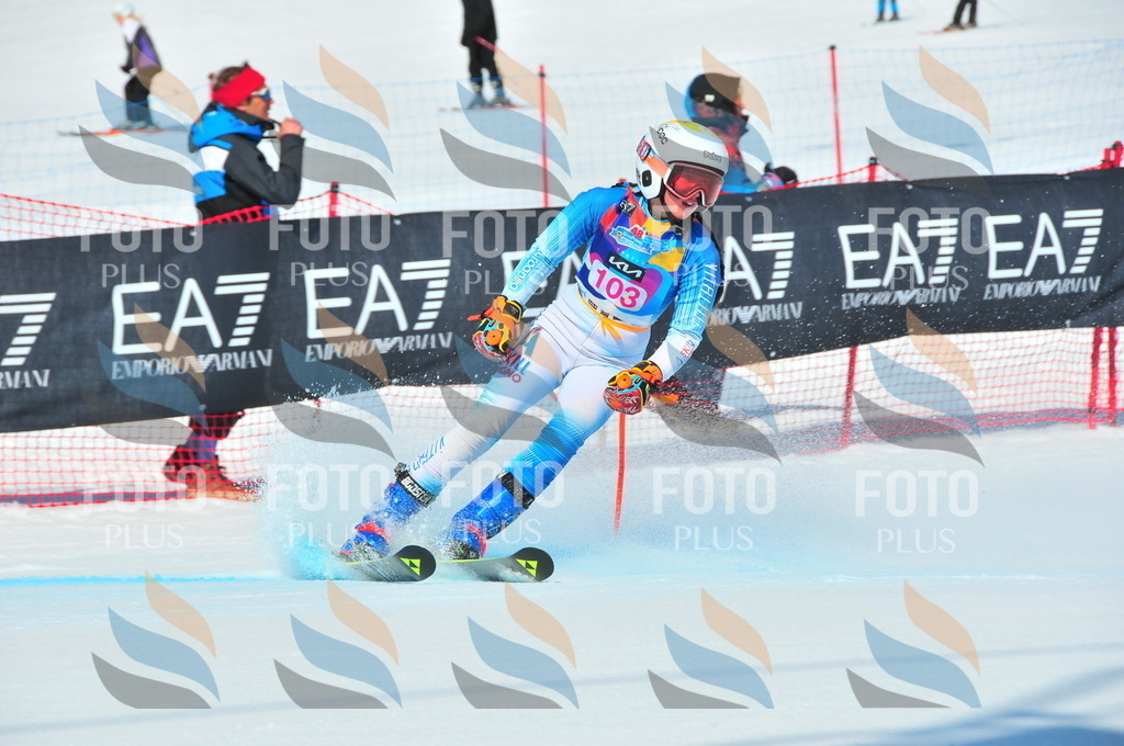 DSC_4613 | holidayphoto