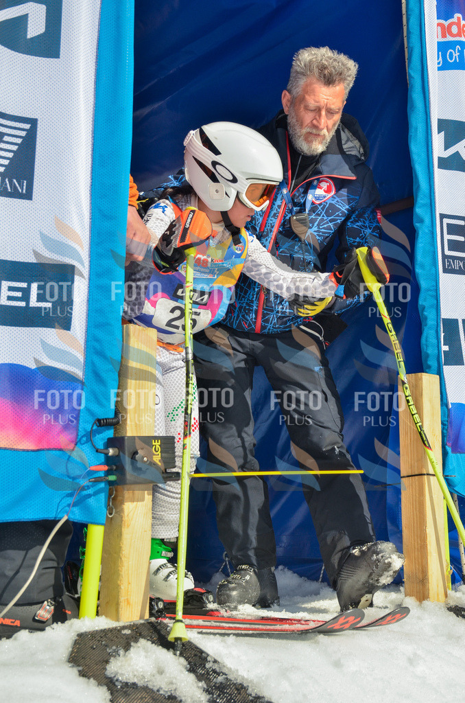 _ELE4797 | holidayphoto