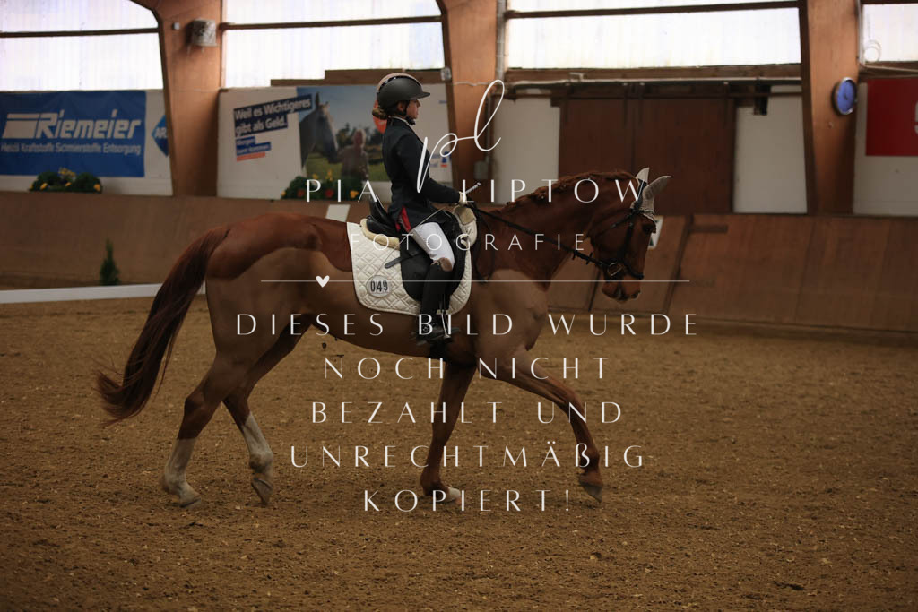 IMGT9934 | pl-fotografie