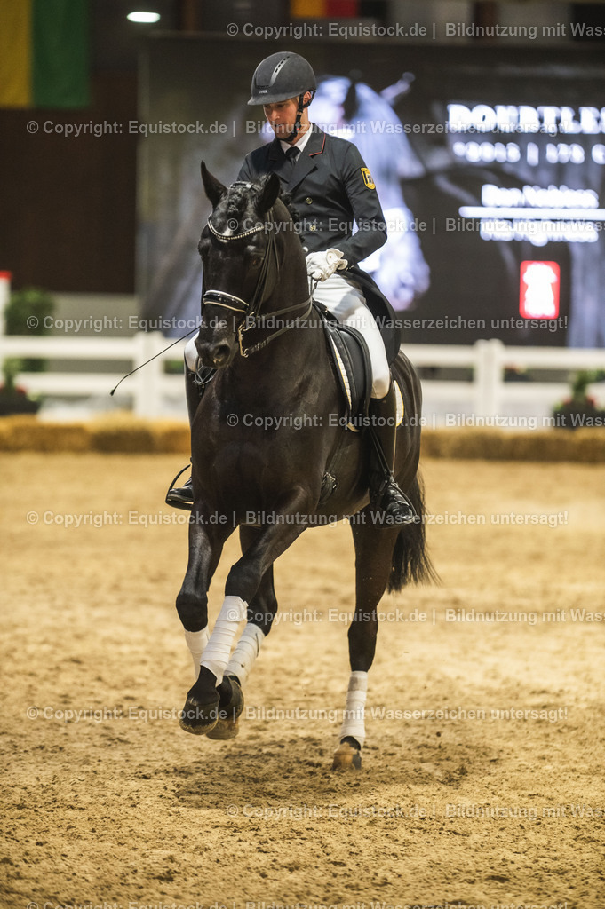 20240302_Hengstvorstellung_Marbach_TOMsPiC_1530 | equistock