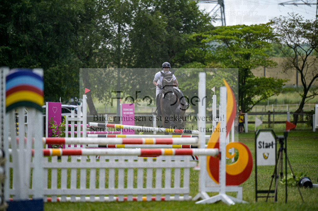 Reitturnier Voxtrup | Entdecke hochwertige Reitturnierfotos von Foto Oger. Professionell, emotional und authentisch – jetzt Lieblingsmomente im Shop bestellen.Deutschlandweite Turnierfotografie. - Realisiert mit Pictrs.com