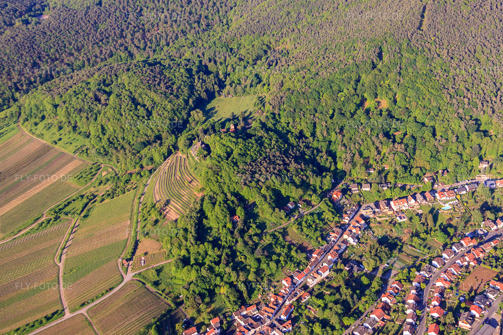 Luftbild: Schloss Kropsburg im Ortsteil SaintMartin in Sankt Martin im Bundesland Rheinland-Pfalz in Deutschland. Foto: IMG_64698.jpg vom 04.05.2014 durch Werner Riehm/FLY-FOTO.deHier entsteht eine neue