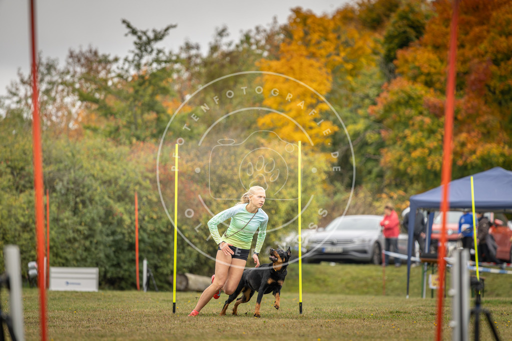 Pfotenfotografie_DV3A4140 | Hundefotografie, Tierfotograf, Pfotenfotografie, Fotoshooting Hund, Hunde Portrait, Hundesport, Hundeportraits, Heideshooting, Hunde, Sportfotograf, Hundefotograf, Turnierhundsport, THS,  - Realisiert mit Pictrs.com