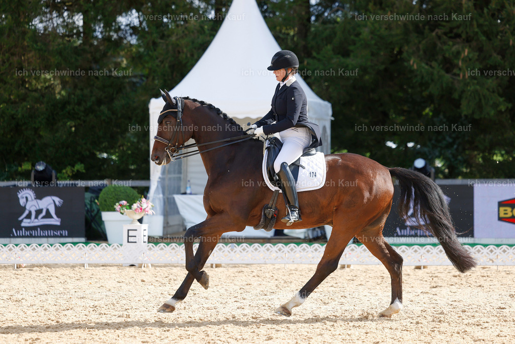 09_2-174-DRESSUR  S_  -StoibPH-5784 | working equitationturnier fotograf videograf stoibphotography marixx film working equitation deutschland reitsport turnierfotografie eventfotografie equestrian events