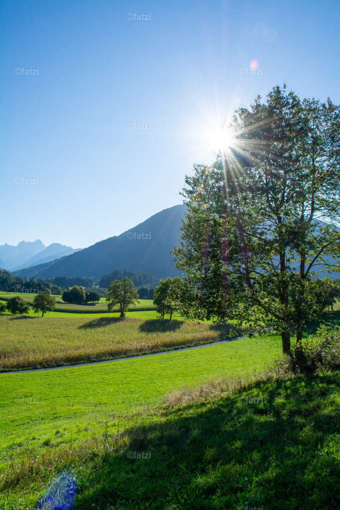 Dobr Panorama 2025 (Hohenthurn)_170658__fatzi | Fatzi Bilder-Archiv! 
Die Bilder sind für private Nutzung lizenzfrei. Die kommerzielle Nutzung ist möglich und erwünscht, jedoch bitte ich um vorherige Kontaktaufnahme per E-Mail (info@fatzi.at) oder unter +43 650 7828269 - Realisiert mit Pictrs.com