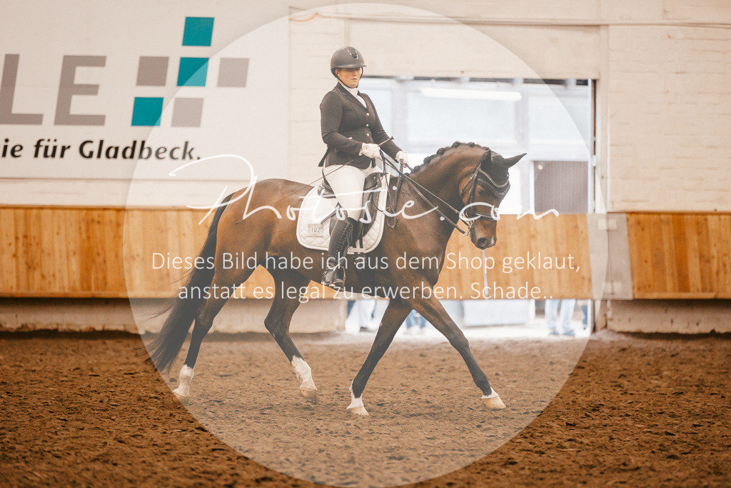 3I6A2980 | Stimmungsvolle Portraits und Reitsportfotografie im Ruhrgebiet und im Münsterland.

Pferdefotografie, Hundefotografie, Tierfotografie, Reportagen, Portraits von Tier und Mensch, Turnierfotografie in Bochum, Recklinghausen, Marl, Haltern am See, Dülmen.. - Realisiert mit Pictrs.com