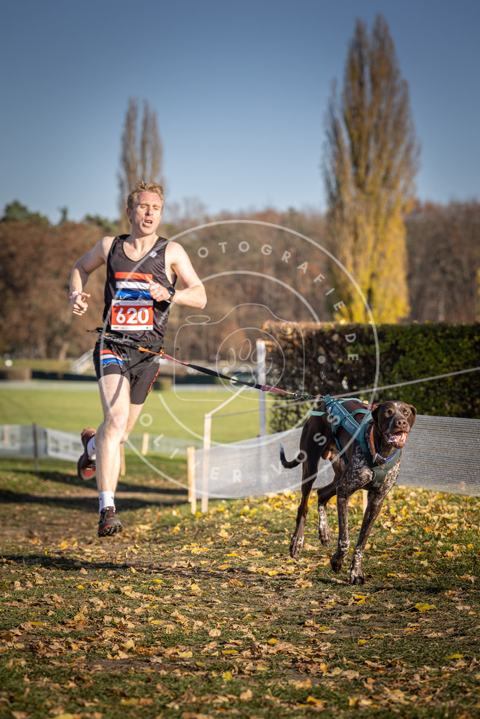 CaniXpix_DV3A9903 | Hundefotografie, Tierfotograf, Pfotenfotografie, Fotoshooting Hund, Hunde Portrait, Hundesport, Hundeportraits, Heideshooting, Hunde, Sportfotograf, Hundefotograf, Turnierhundsport, THS,  - Realisiert mit Pictrs.com