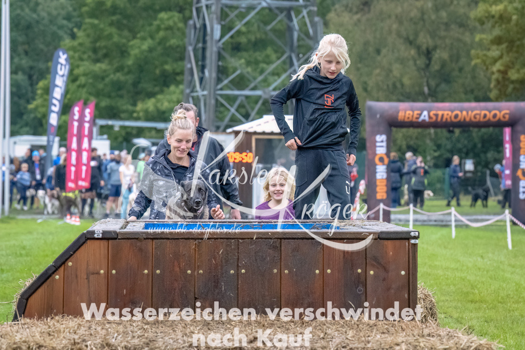 1211--2 | kk-dogfotos