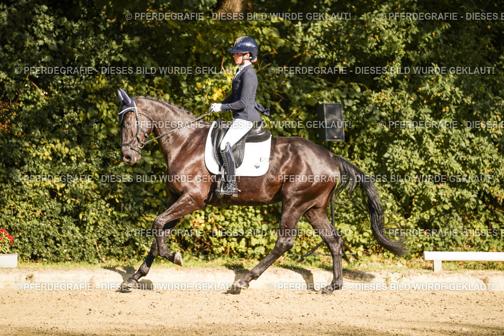 DSC06282 | Pferdegrafie