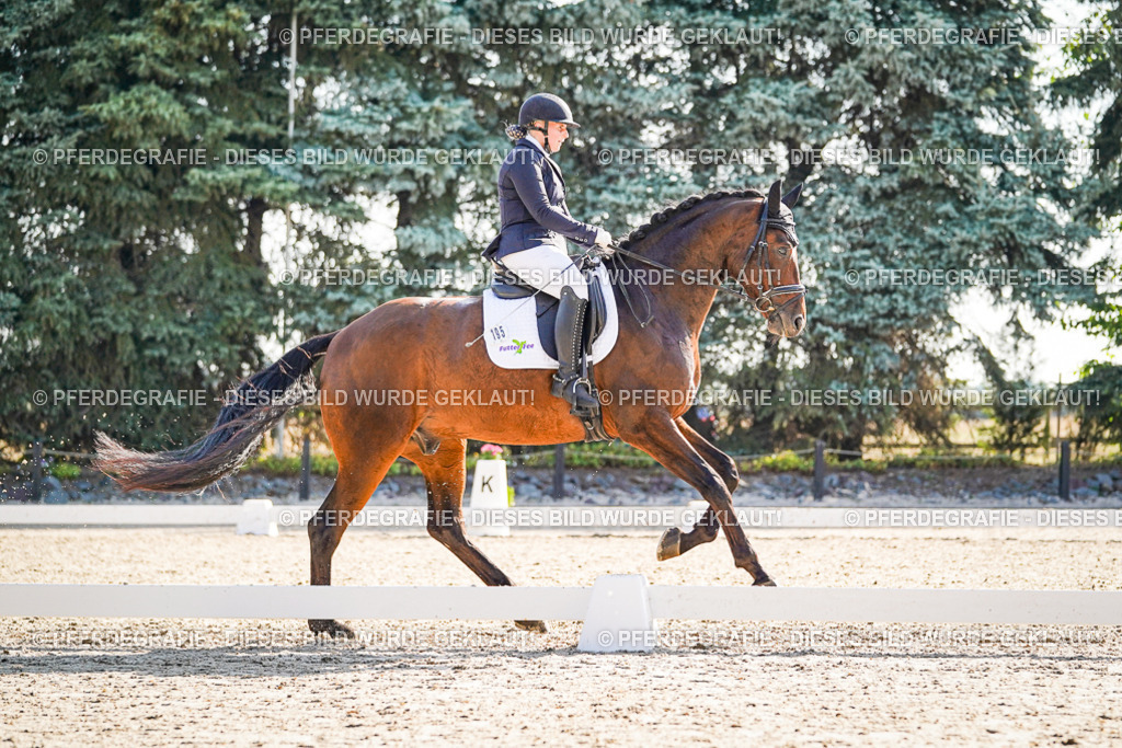 DSC09706 | Pferdegrafie