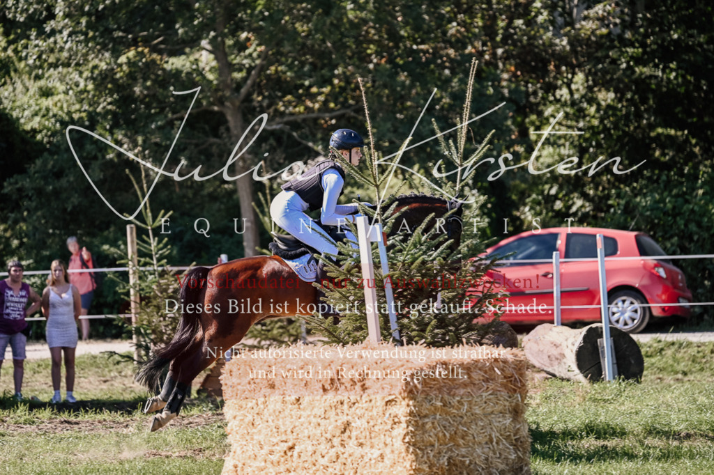 DSC_2933 | Pferde- und Turnierfotografie in Westsachsen. Pferdeportraits, Auftragszeichnungen und intuitive Kunst.