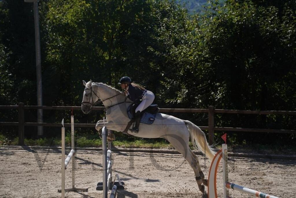 tgbhsonntag (825) | d.tail Visions - Shop - Realisiert mit Pictrs.com