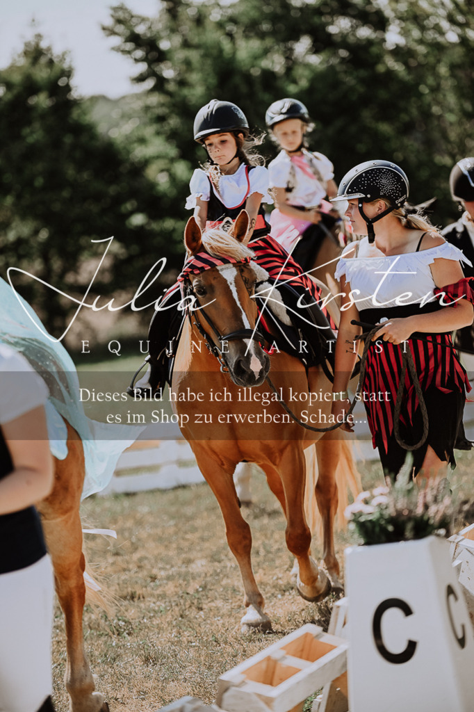 DSC_8969 | Pferde- und Turnierfotografie in Westsachsen. Pferdeportraits, Auftragszeichnungen und intuitive Kunst.