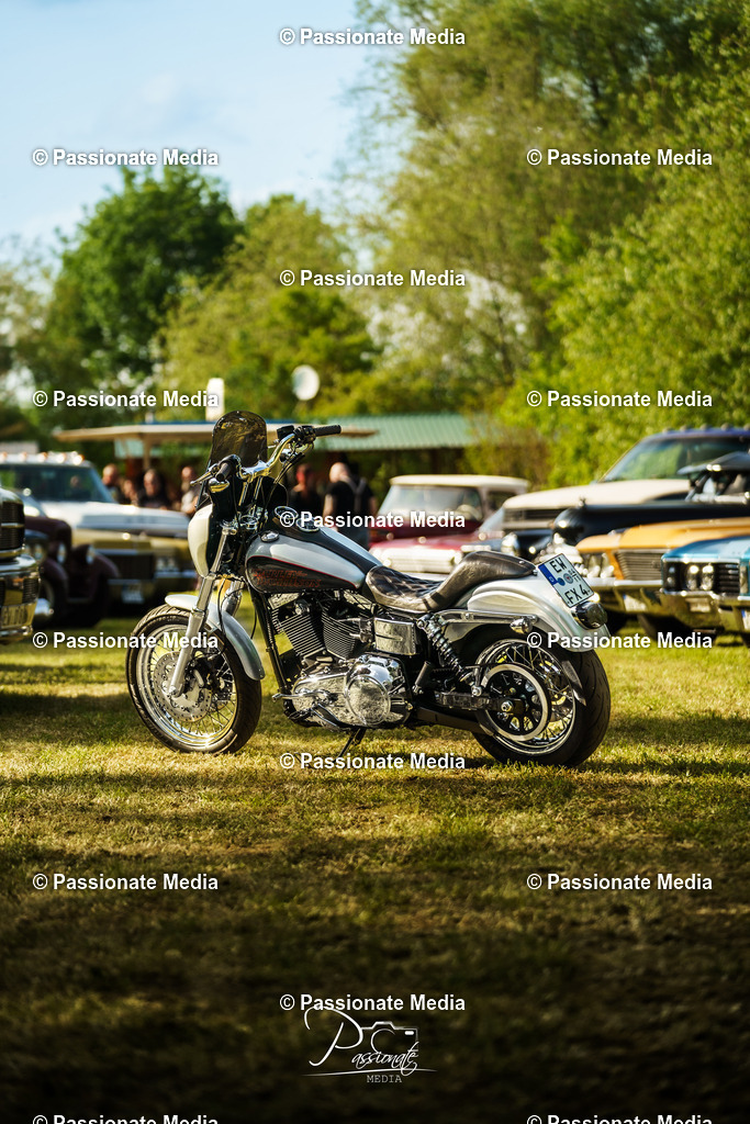 DSC08287 | Passionate Media, dein Fotograf aus Brandenburg, Märkisch Oderland, im Bereich Motorsport, Autos und Motorräder sowie Events und auch Hunde. Shootings oder auch Eventbegleitungen können bei mir gebucht we