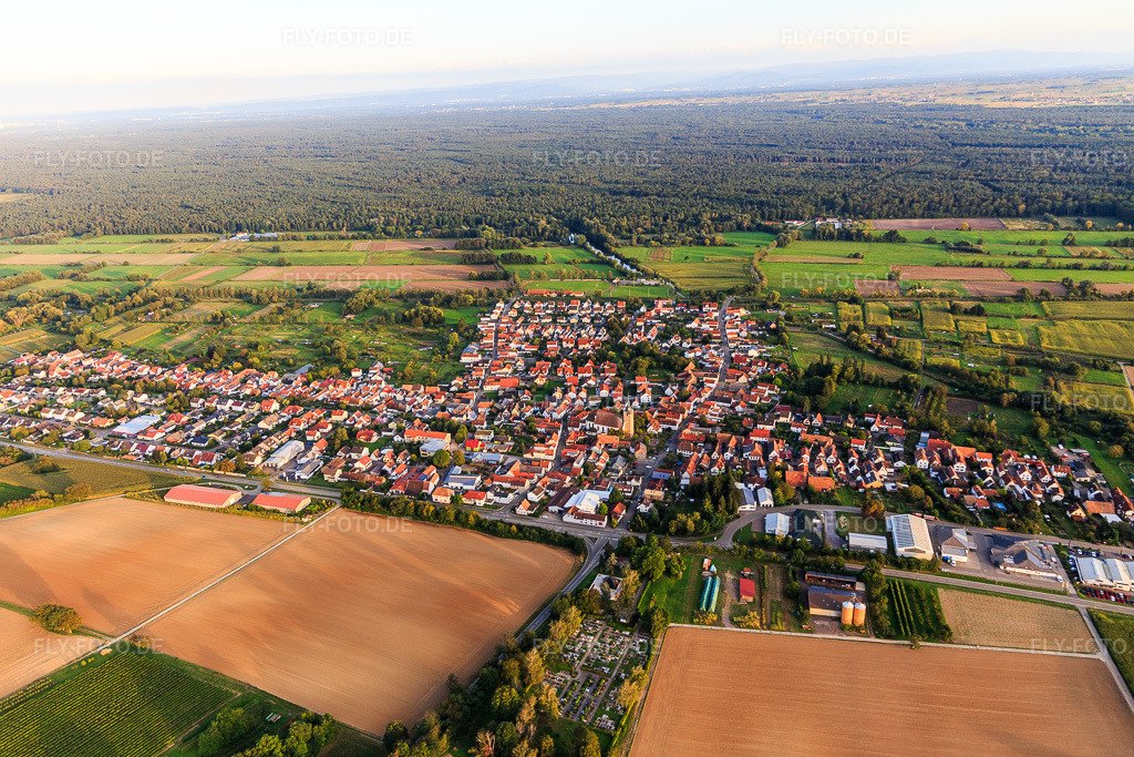Luftbild: Friedhof in Steinfeld im Bundesland Rheinland-Pfalz in Deutschland. Foto: IMG_129376.jpg vom 12.09.2021 durch Werner Riehm/FLY-FOTO.de