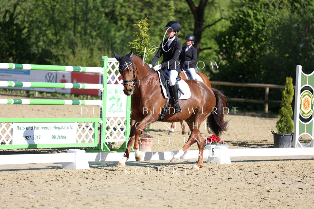 IMGT9730 | pl-fotografie