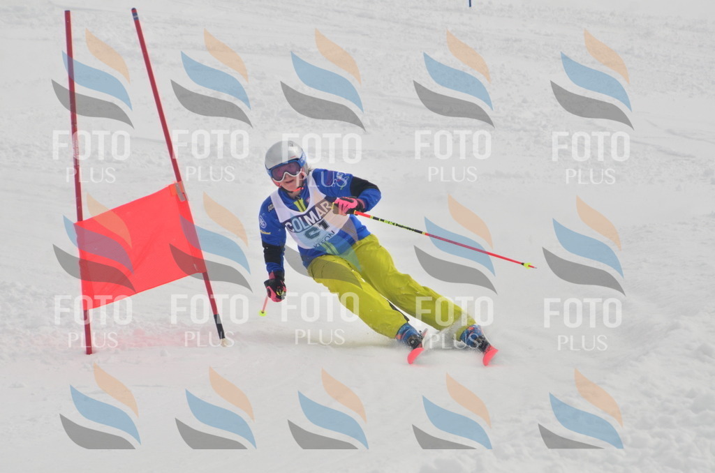 A5492 | holidayphoto