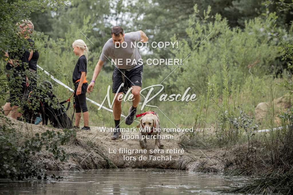 nelerasche_so1515-1530_360 | nelerasche