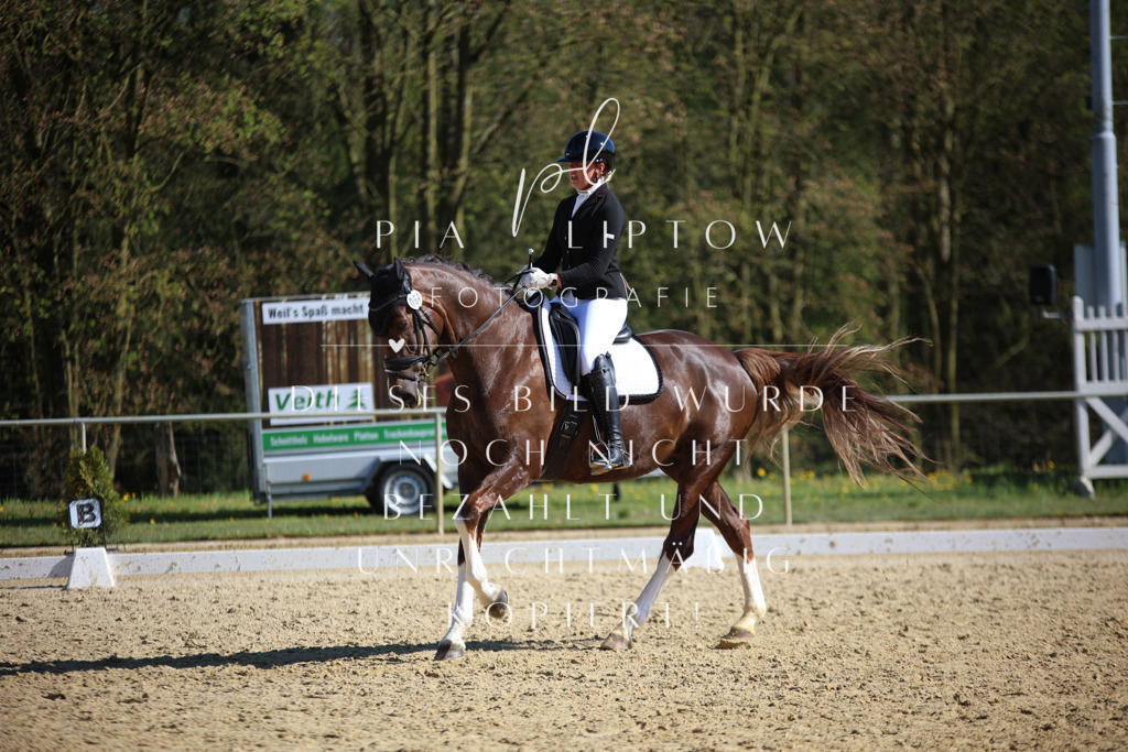 IMGT8849 | pl-fotografie