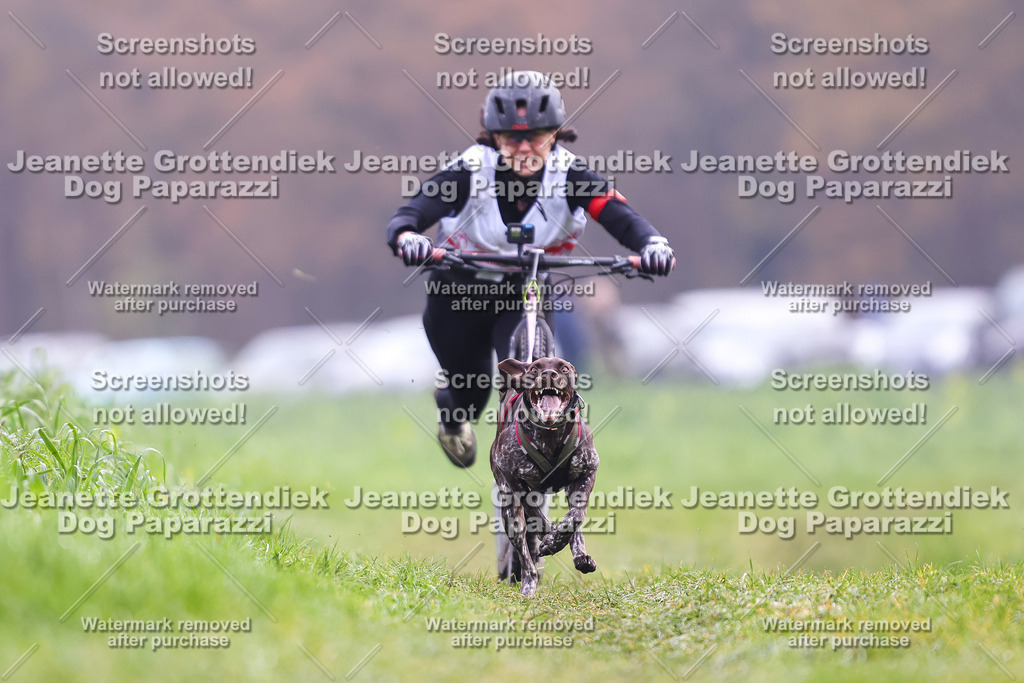 Dog Paparazzi - Visbeck 25 -271 | Dog Paparazzi Jeanette Grottendiek Fotografie & Videografie - Realisiert mit Pictrs.com