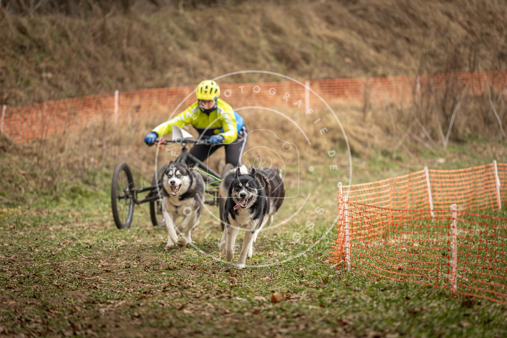 Pfotenfotografie_DV3A8596 | Hundefotografie, Tierfotograf, Pfotenfotografie, Fotoshooting Hund, Hunde Portrait, Hundesport, Hundeportraits, Heideshooting, Hunde, Sportfotograf, Hundefotograf, Turnierhundsport, THS,  - Realisiert mit Pictrs.com