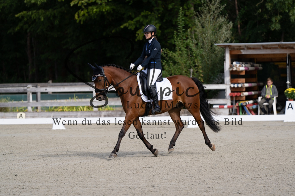 A7V06855 | Turnier/Reitfotograf