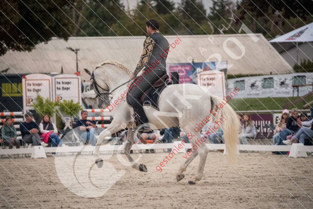 DSC_0075 | Sport-, Event- und Tierfotos in Profiqualität. Einfach auswählen, bestellen und herunterladen. Dein Moment – perfekt festgehalten.