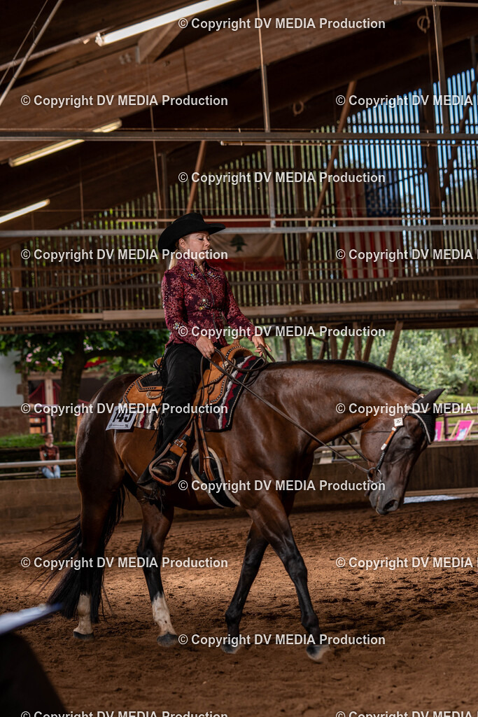 Erbach Tag 2-308 | dv-media-shop - Realisiert mit Pictrs.com