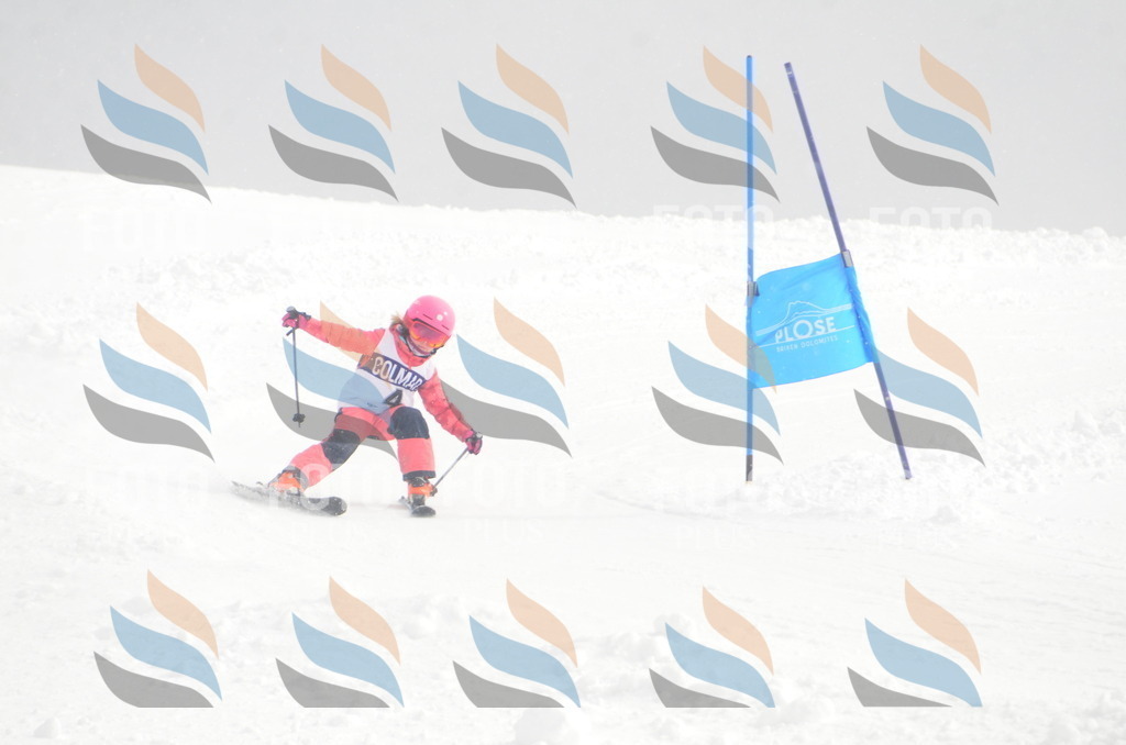 A5008 | holidayphoto