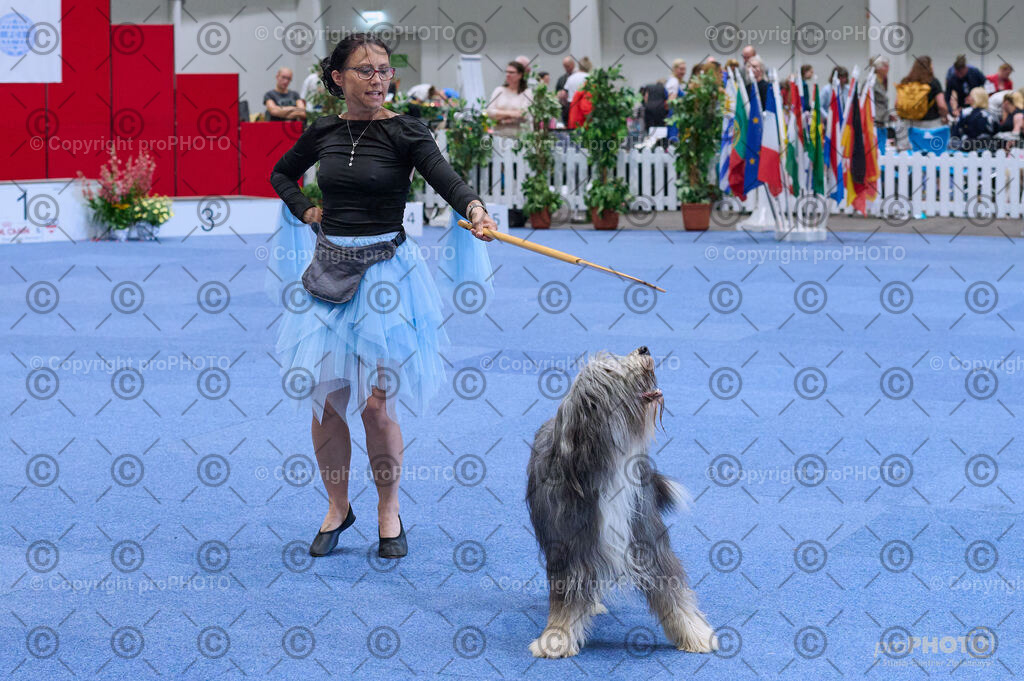 202406_ÖKV-IHA-Tulln24_DSC_5294 | proPHOTO - Realisiert mit Pictrs.com