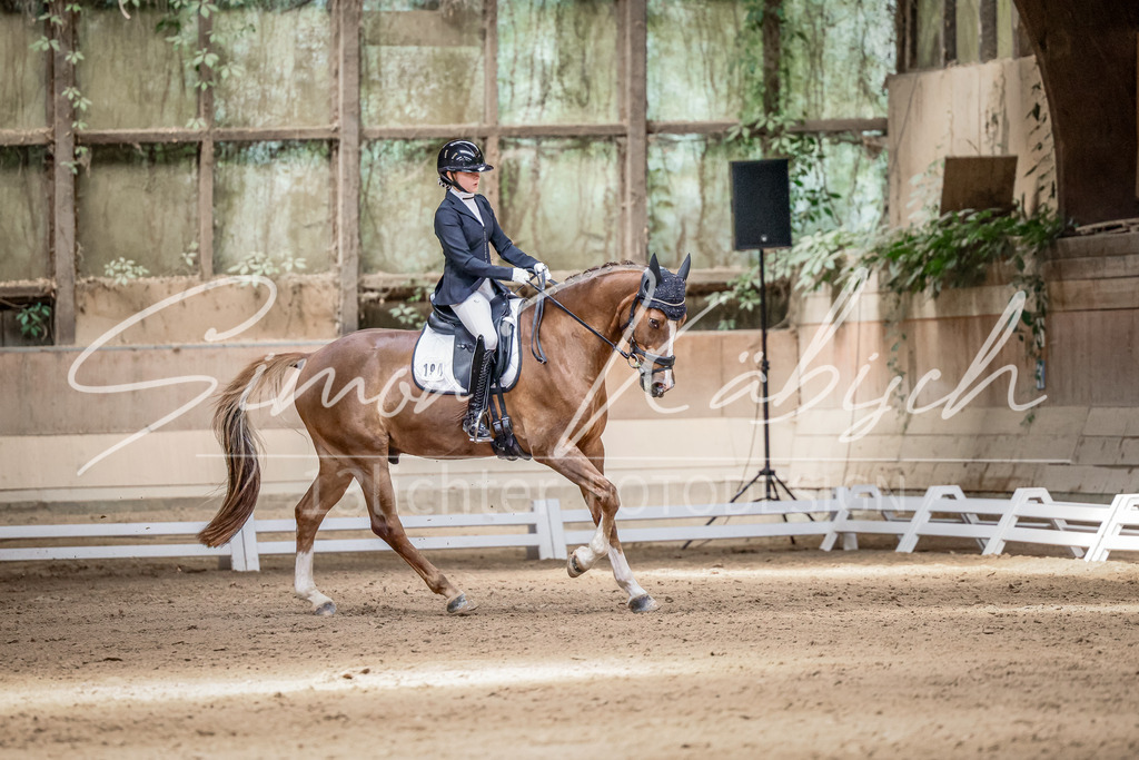 20250621-_3LI6511 | Tierfotografie Pferde, Hunde, Katzen, Haustiere.
Turnierfotografie Reitturniere, Reiten, Springreiten, Dressur in Hanau, dem Main-Kinzig-Kreis und dem Rhein-Main- Gebiet um Frankfurt