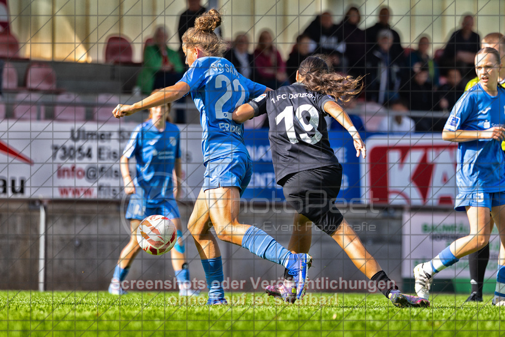 20261010_141906_0126-Bearbeitet_(c)_by_PhotoPeet | 3