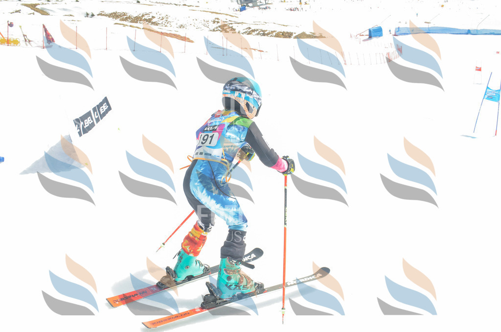 _ELE6803 | holidayphoto