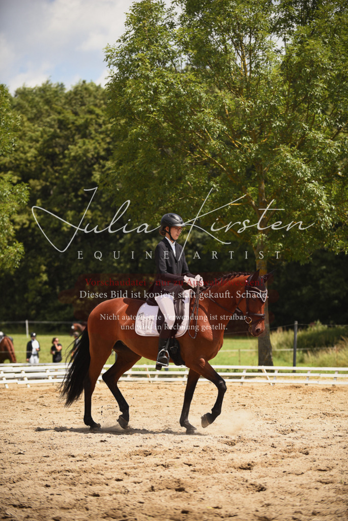 DSC_1354 | Pferde- und Turnierfotografie in Westsachsen. Pferdeportraits, Auftragszeichnungen und intuitive Kunst.
